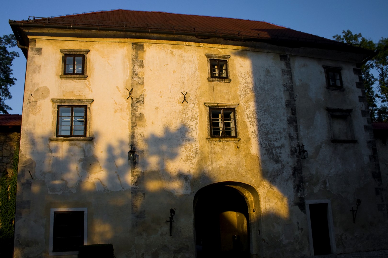 Latest Products Image