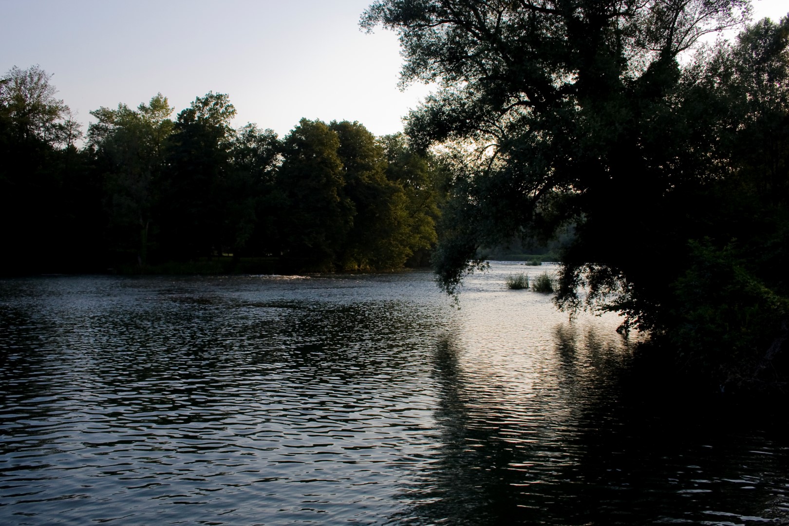 Latest Products Image